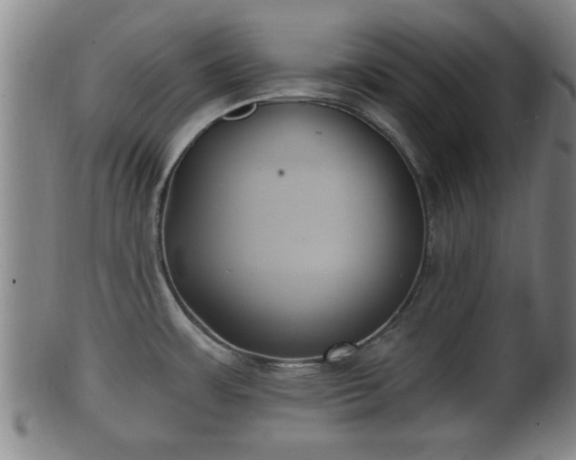 X0000100871483200806271100