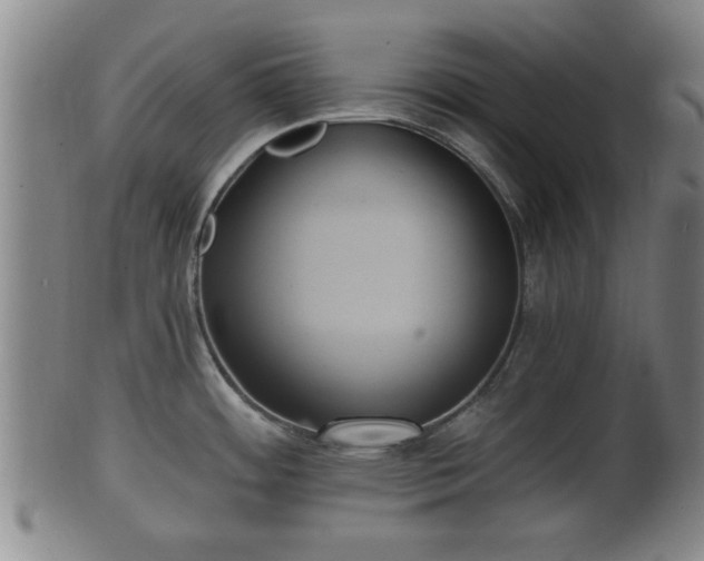 X0000100871484200806271100