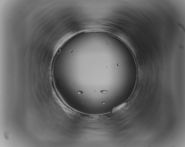 X0000100871485200806271100