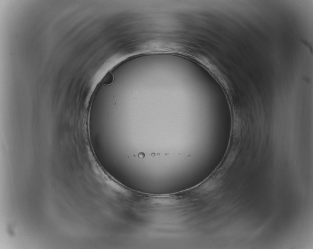 X0000100871486200806271100