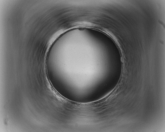 X0000100871488200806271100