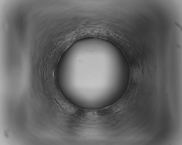 X0000100871489200806271059