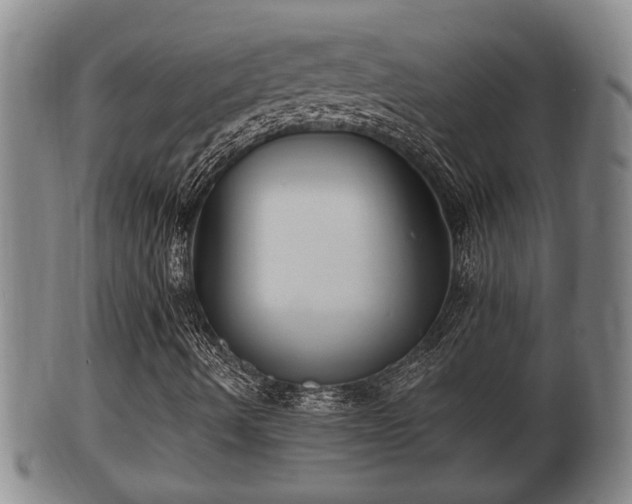 X0000100871490200806271059