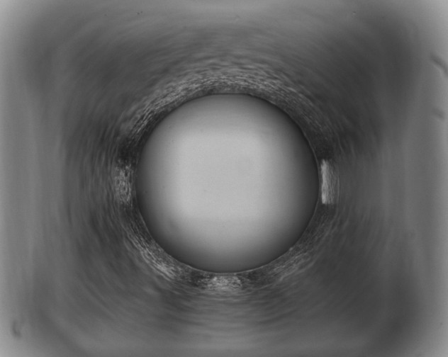 X0000100871491200806271059