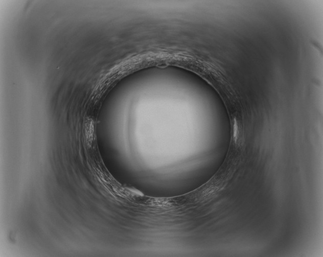 X0000100871492200806271059