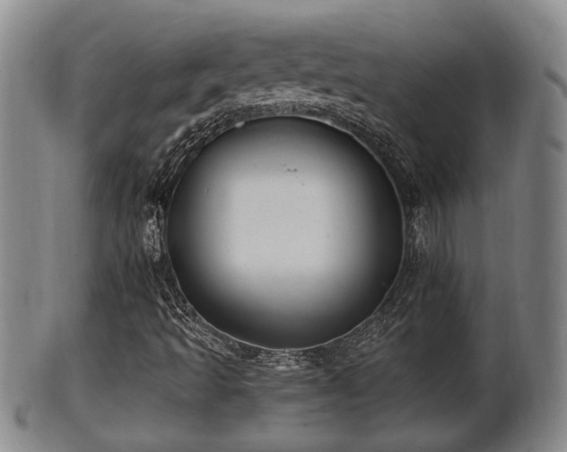 X0000100871493200806271059