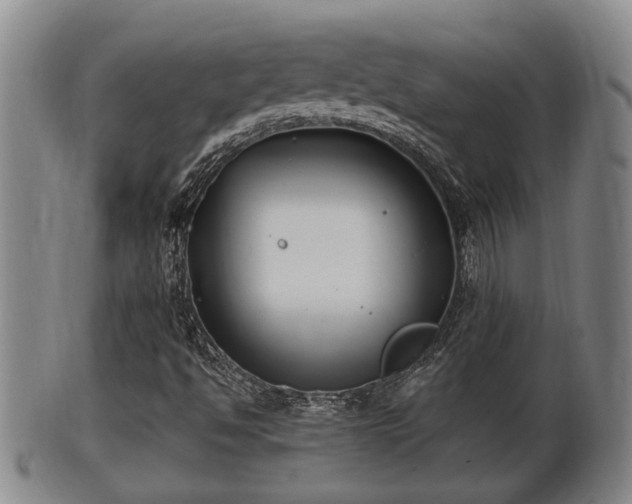 X0000100871494200806271059