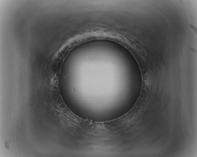 X0000100871495200806271059