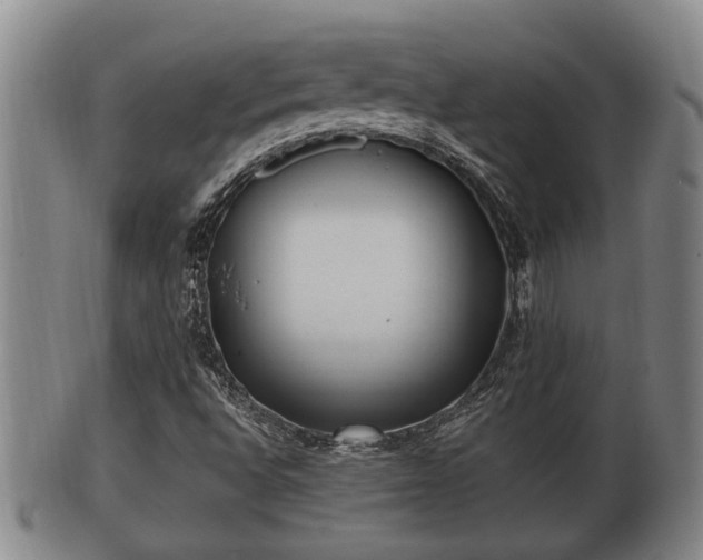 X0000100871496200806271059