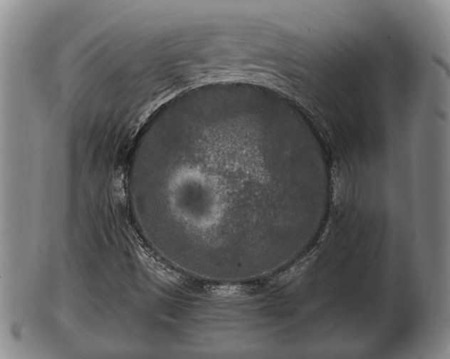 X0000100871497200806271059