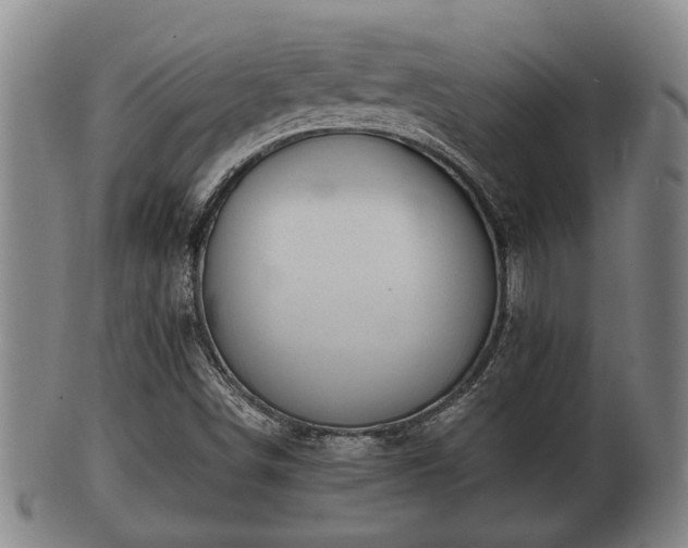 X0000100871498200806271059