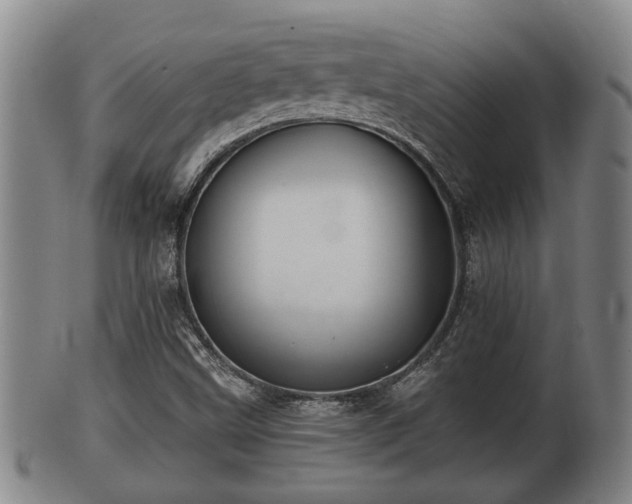 X0000100871499200806271059