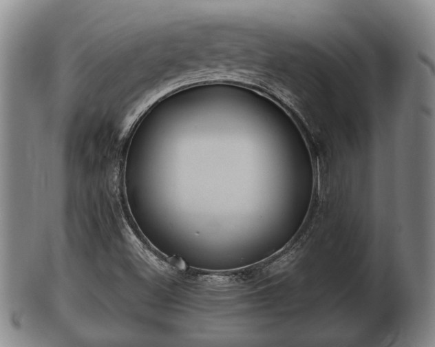 X0000100871500200806271059