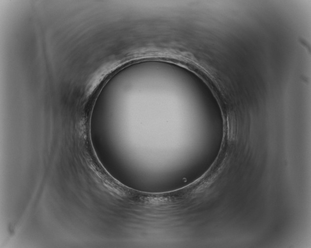 X0000100871501200806271059