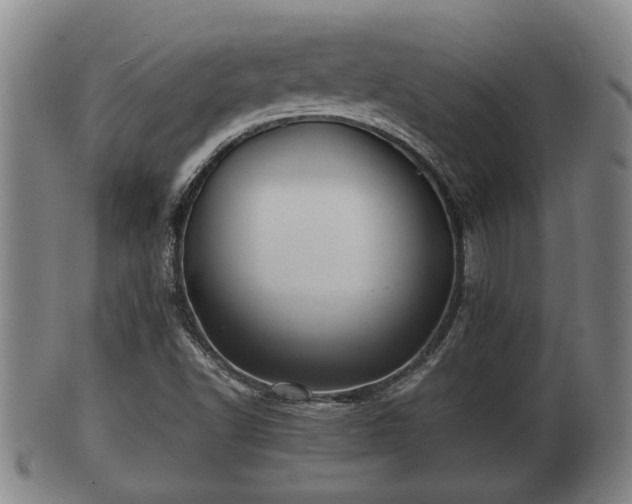 X0000100871502200806271100