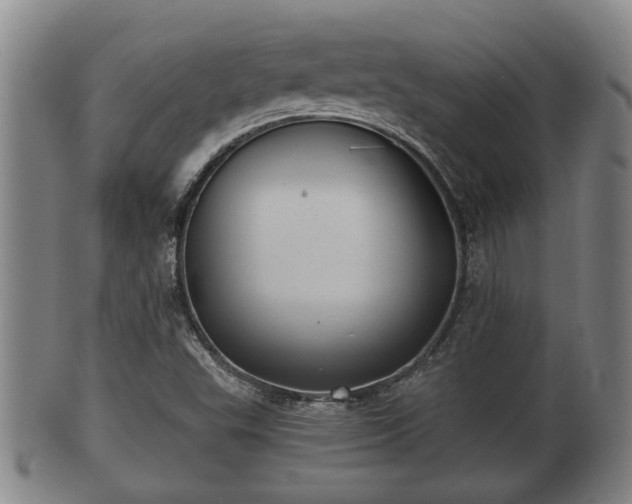 X0000100871503200806271100