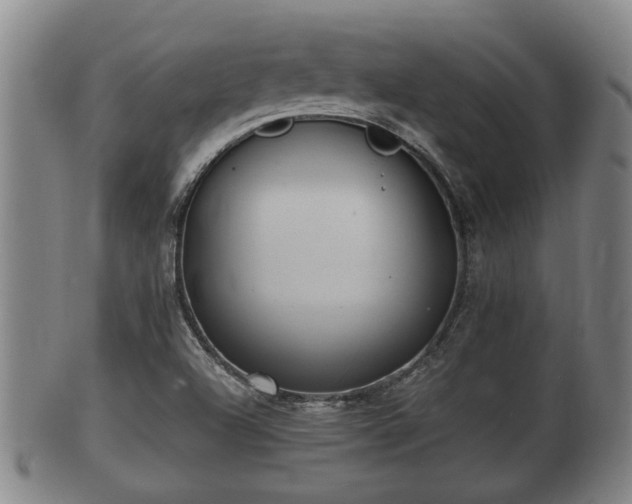 X0000100871504200806271100