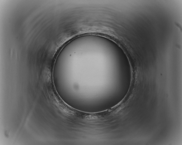 X0000100871505200806271100