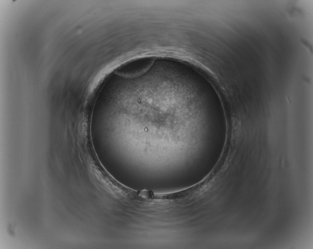 X0000100871506200806271100