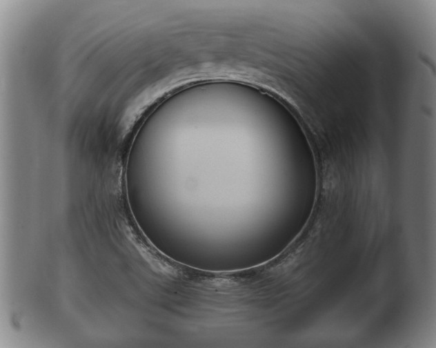 X0000100871507200806271100