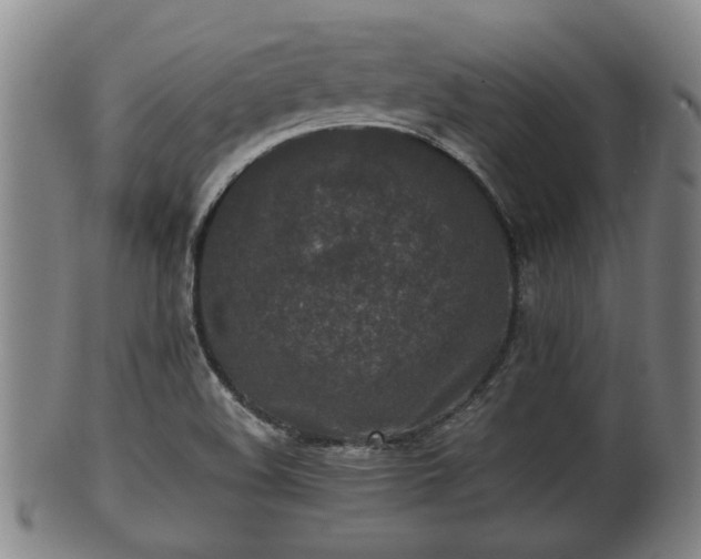 X0000100871508200806271100