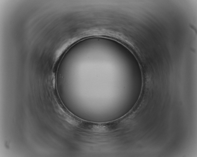 X0000100871509200806271100