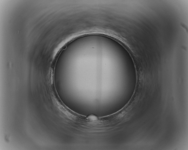 X0000100871510200806271100