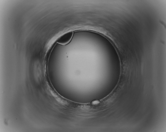 X0000100871511200806271100