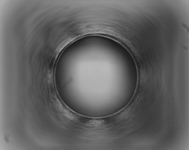 X0000100871513200806271100