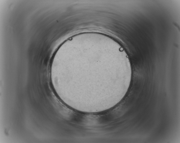 X0000100871514200806271100