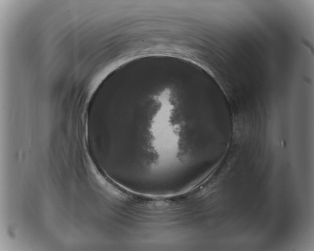 X0000100871515200806271100