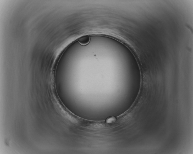 X0000100871517200806271100