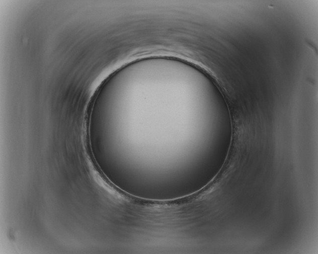 X0000100871518200806271100