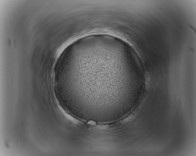 X0000100871519200806271100