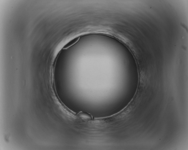 X0000100871520200806271100