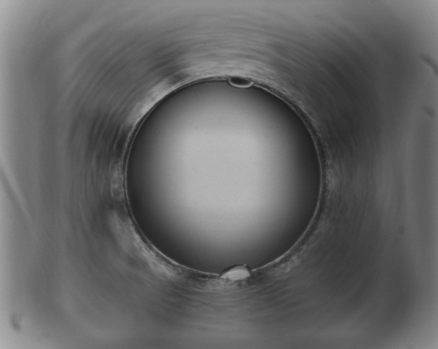 X0000100871521200806271100