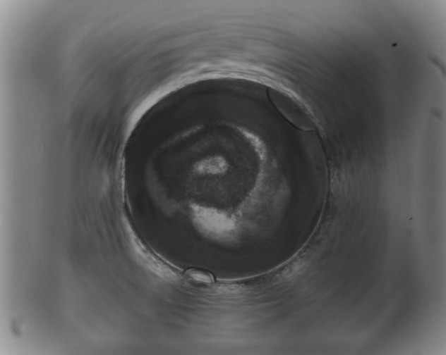 X0000100871522200806271100