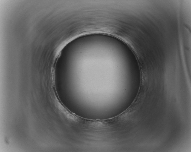 X0000100871524200806271100