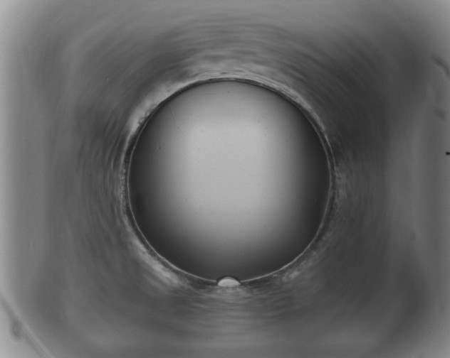 X0000100871525200806271100