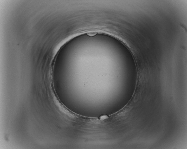 X0000100871526200806271100