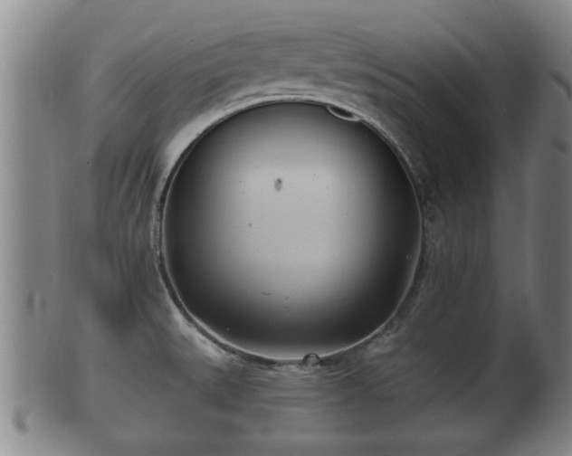 X0000100871527200806271100