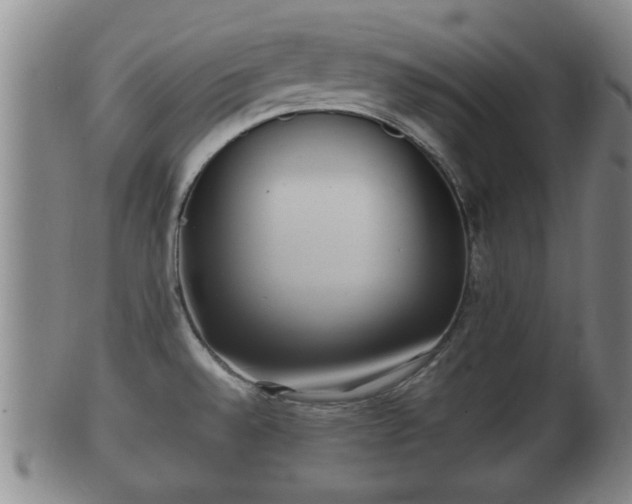 X0000100871528200806271100