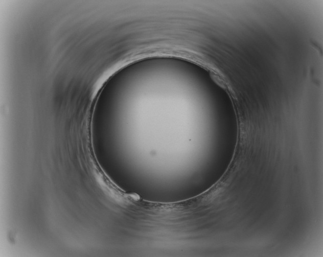 X0000100871530200806271100