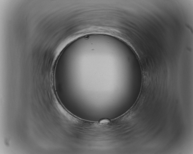 X0000100871531200806271100