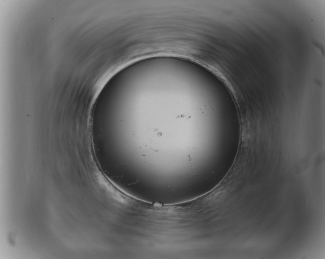 X0000100871532200806271100