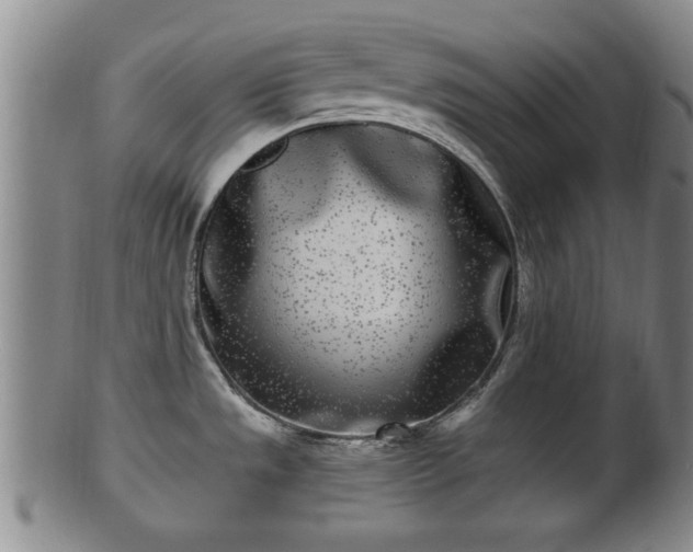 X0000100871533200806271100