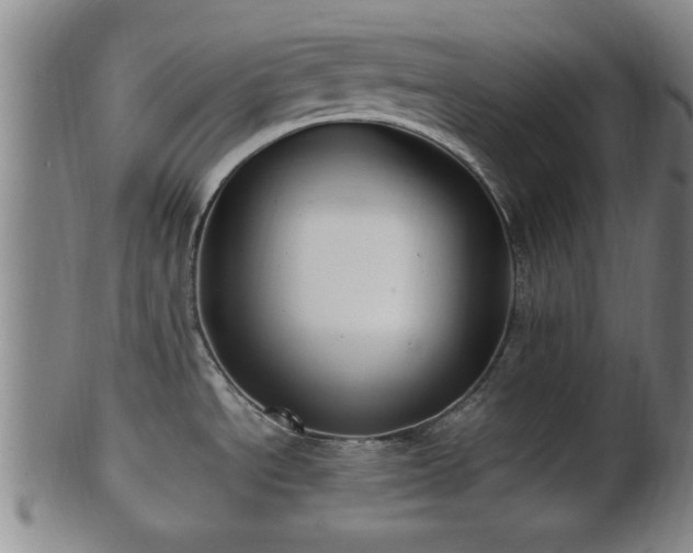 X0000100871534200806271100