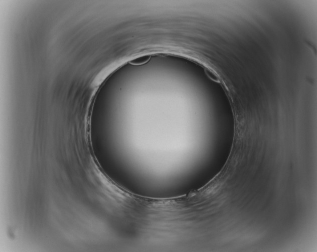 X0000100871535200806271100