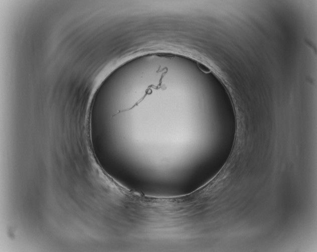 X0000100871536200806271100