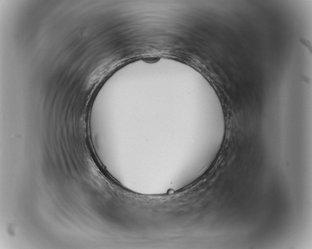 X0000100870002200807071113